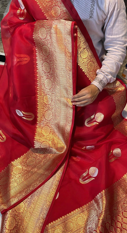 Blood Red Pure Kora Organza Banarasi Kadhwa Handloom Saree's